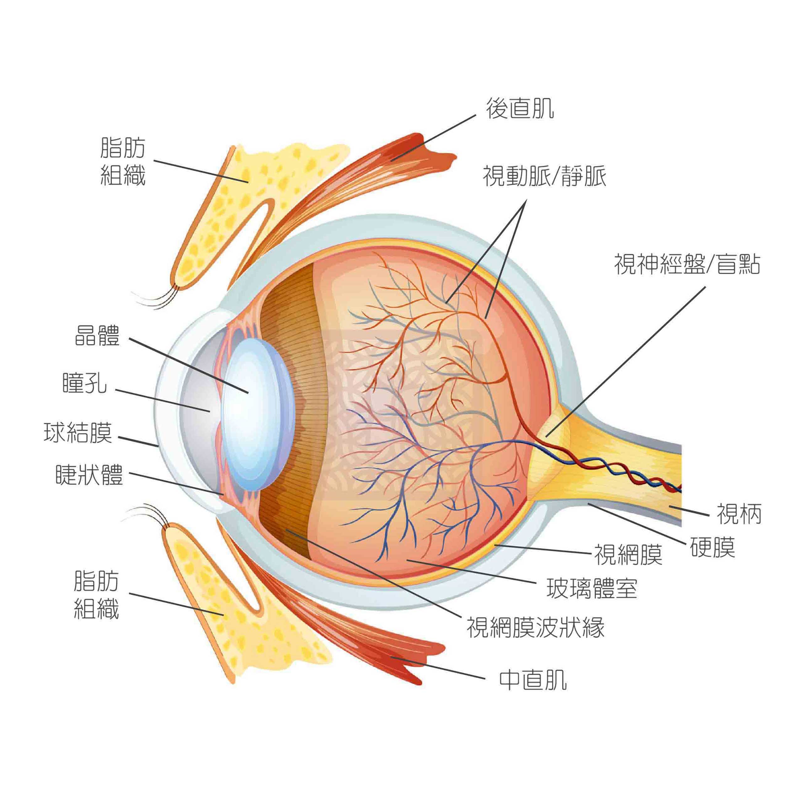 Eye bag05
